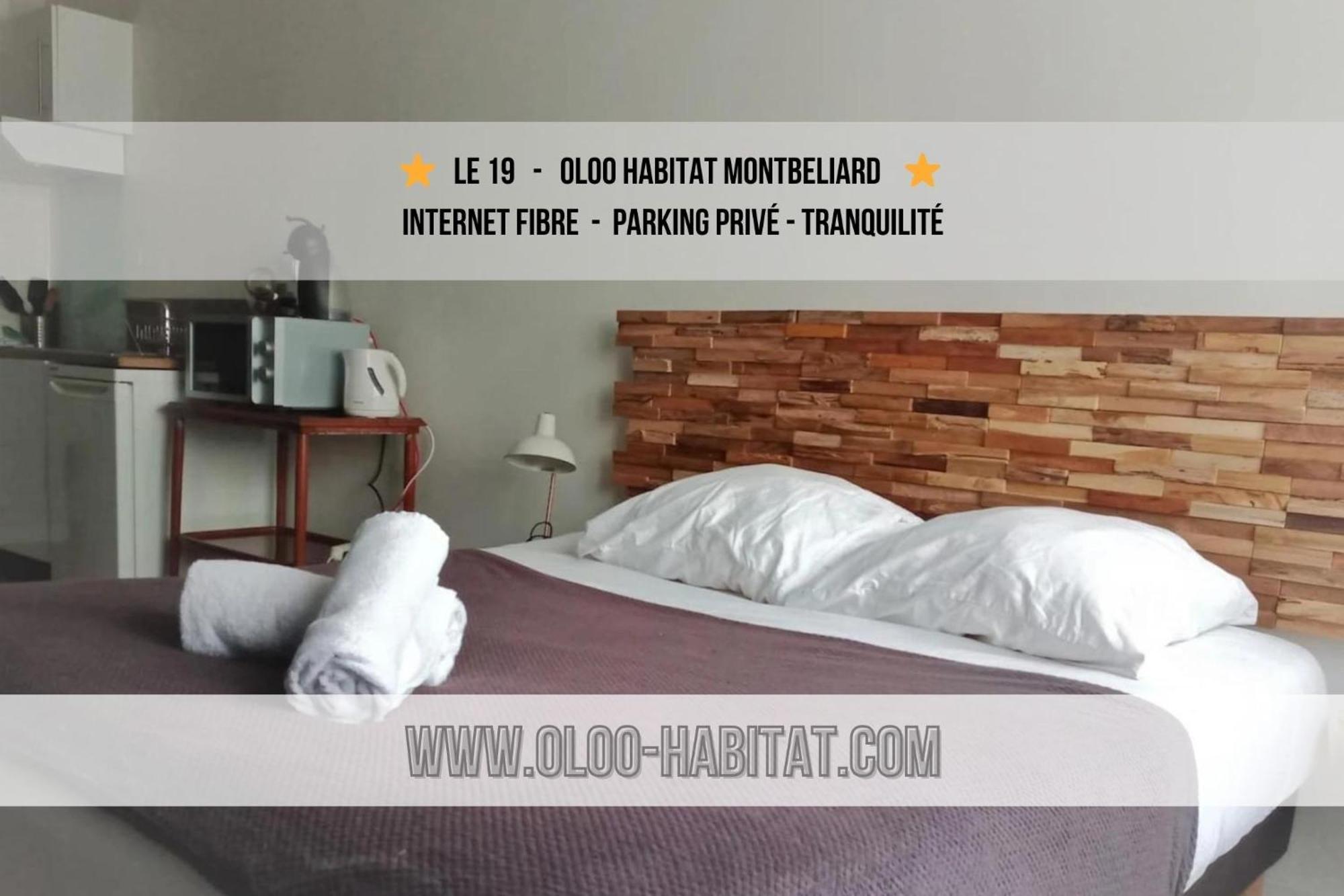 Апартаменты Oloo Habitat - Le19 - Parking Prive Монбельяр Экстерьер фото